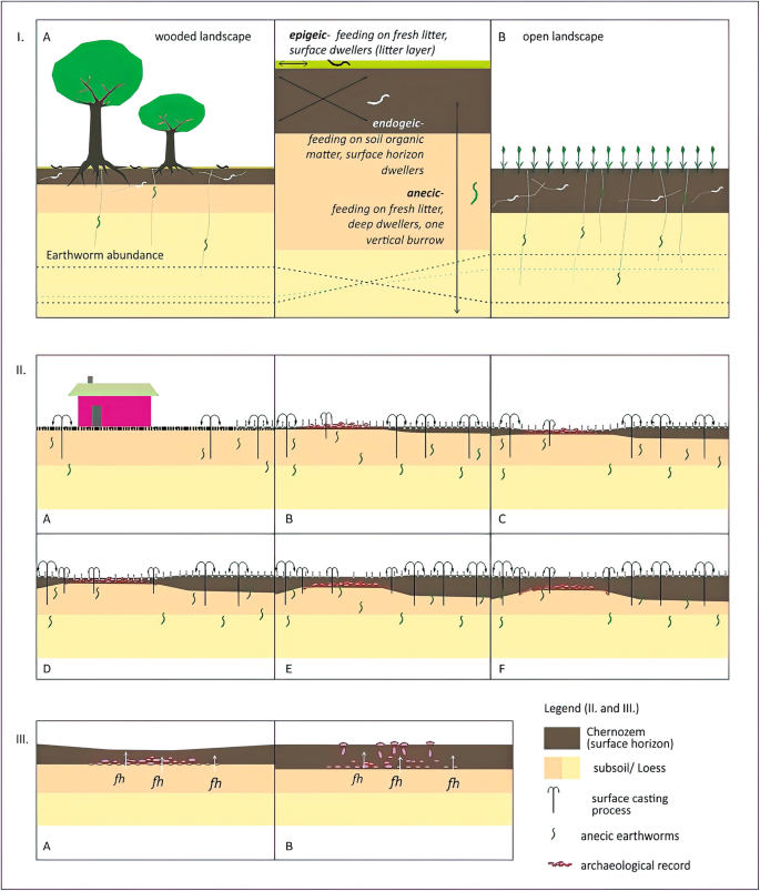 3 illustrations depict the formation of Chernozems, agricultural sub-soils or loess, and the surface casting process due to anecic earthworms.