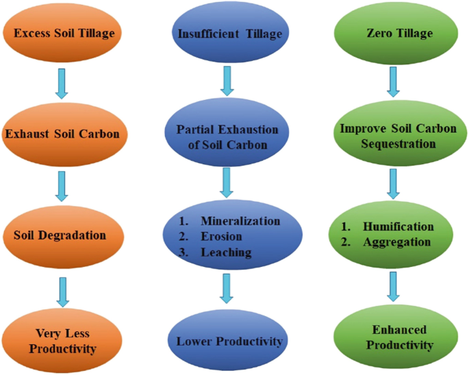 Impact of Various Agronomic Approaches on Nutrient Use Efficiency of ...