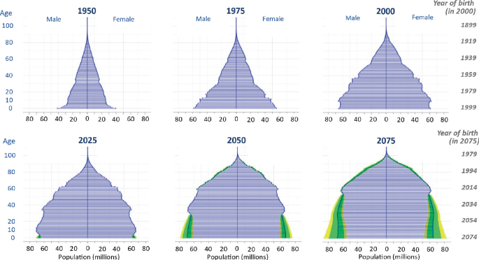 Six pyramid model graphs indicate the demographic transition. It presents age and year of birth versus population. Both sides of the pyramids represent males and females. Each graph is of the years 1950, 1975, 2000, 2025, 2050, and 2075, and the values are high at 80, 80, 85, 90, 95, and 98 respectively. Values are approximate.