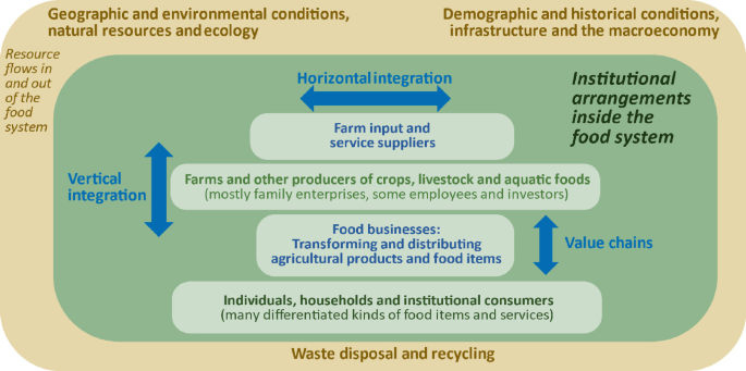 A schematic of the horizontal and vertical integration in the institutional arrangements inside the food system and value chains. It includes farm input and service suppliers, farms and other producers of crops, livestock, and aquatic foods, food businesses, individuals, and institutional consumers.