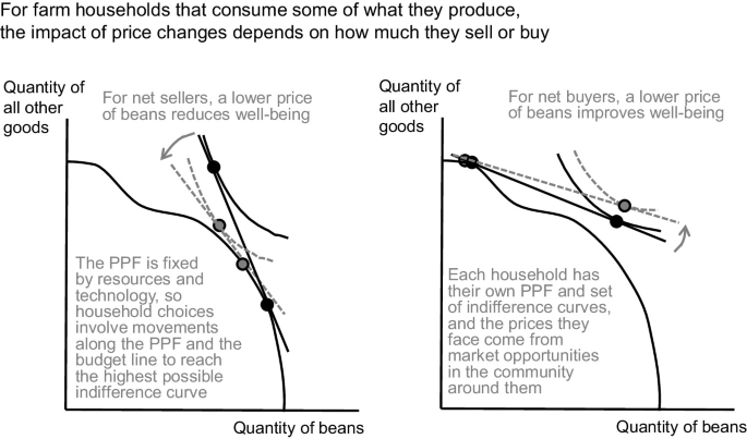2 line graphs of the quantity of all other goods versus the quantity of beans plot downward curves along with 2 tangent lines. Left. The curves depict that a lower price of beans reduces the well-being of the net sellers. Right. The curves depict that lower prices of beans improve the well-being of the net buyers.
