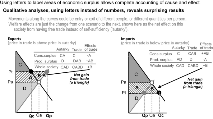 Two graphical representations present the exports and imports of grain from trade. a, The exports depict the net grain from trade in a triangle. The consumer, producer, and the whole society are depicted. b, The imports depict the net grain trade in a triangle + B. The effect of the trade is the addition of consumer and producer surplus.