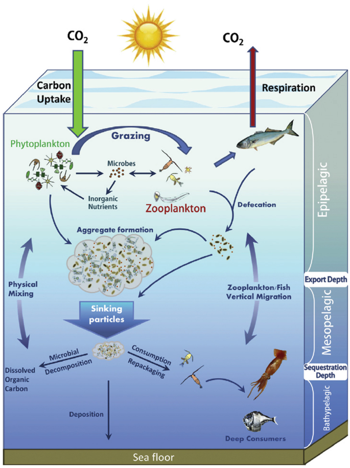 Loss Processes: The Tiny Feeding the Large | Springer Nature Link