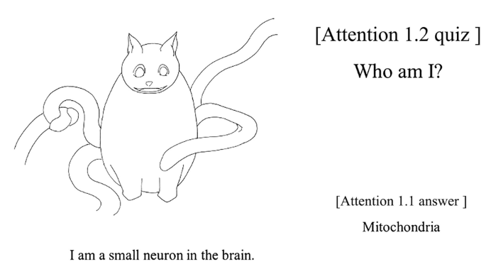An illustration of a cat with many tails. The texts, Attention 1.2 quiz, who am I, I am a small neuron in the brain, and attention 1.1 answer mitochondria are provided around the illustration.