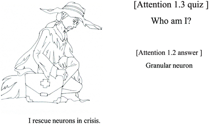 An illustration of a person with a first aid kit. The texts, attention 1.3 quiz, who am I, I rescue neurons in crisis, and attention 1.2 answer granular neuron are provided around the illustration.