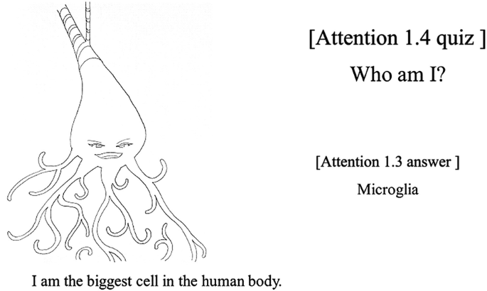 An illustration of a branching structure. The texts, attention 1.4 quiz, who am I, I am the biggest cell in the human body, and attention 1.3 answer microglia are provided around the illustration.
