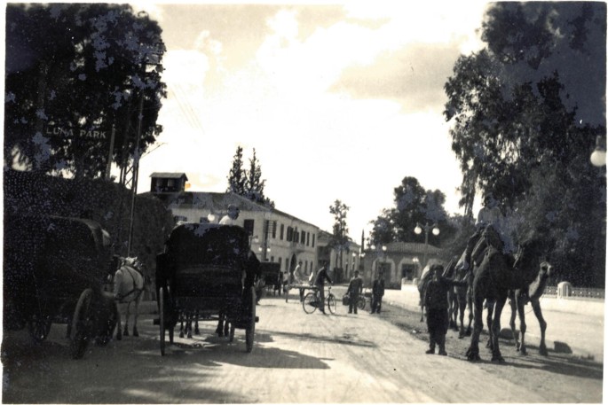 An old photograph of a wide street with a few trees on either side. A few carts, and camels move on the streets. A large building is in the background, surrounded by thick trees.