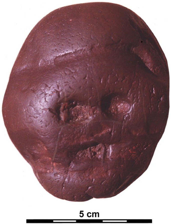A photograph of the Makapansgat pebble. It is slightly ovular and has chipping and wear patterns.