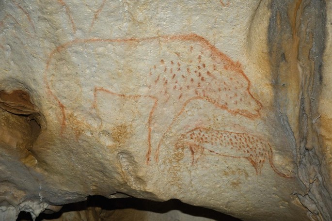 A photograph of drawn animal silhouettes on the wall of a cave.