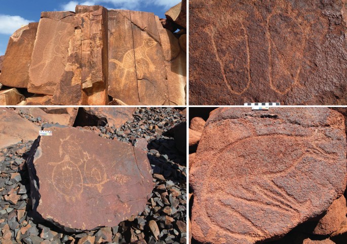 4 photos. Top left. 2 Thylacine petroglyphs on large flat rocks. Top right. Human feet petroglyph on a rock. Bottom left. Turtle petroglyph on a broken rock. Bottom right. A fat-tailed kangaroo petroglyph on a flat rock.