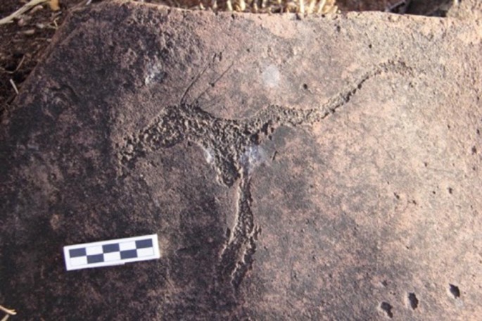 A photograph of a rock surface with an engraving of a Wildebeest Kuil on it.