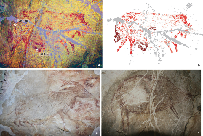 2 digital images and 2 photos. a, enhanced pig motif. The lines are bright. There are labels for 29.7 and 32.0 acid dissociation constant. b, digitally traced motif of the same piece. c, a photograph of an anoa on a cave wall. There are hand prints near its head. d, painting of a bovid on a wall of a cave.