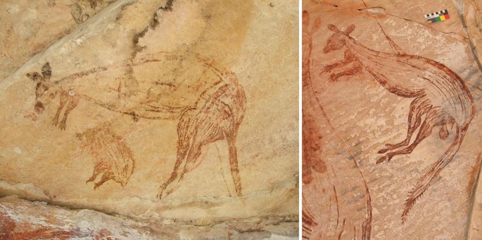 2 photographs of rock paintings of macropods. The ink is bright in color. The strokes appear to be multiple.