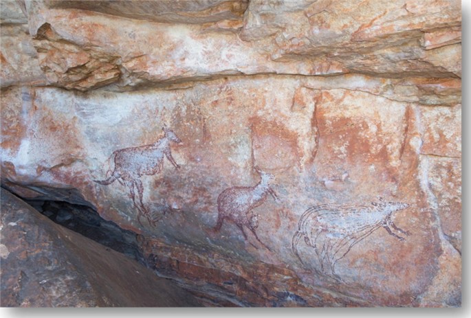A photograph of a rock face with paintings of three kangaroos.
