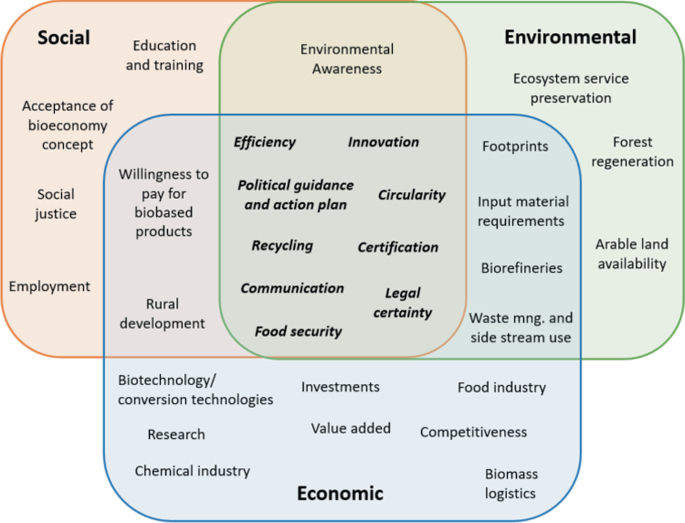 An illustration presents the results summary. The social includes employment, and education and training. Environmental includes arable land availability and forest regeneration. Economic includes biomass logistics and investments. The common region for all includes recycling and efficiency.