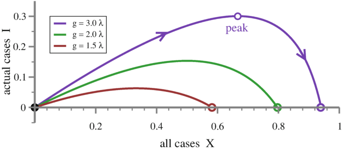 A graph of actual cases 1 versus all cases X has some following values. g = 3.0 lambda, (0, 0.2), (0.4, 0.25), (0.95, 0). g = 2.0 lambda, (0, 0.2), (0.4, 0.15), (0.8, 0). g = 1.5 lambda, (0, 0.2), (0.4, 0.5), (0.6, 0). The values (0.7, 0.28) in g = 3.0 lambda is labeled peak. Values are estimated.