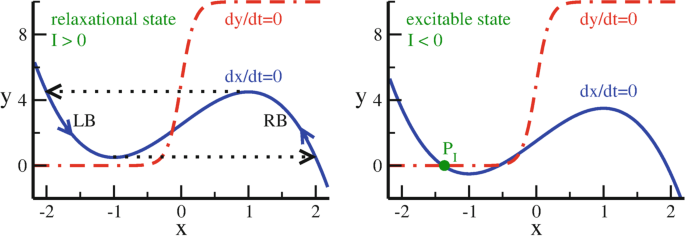Two graphs of Y 4 versus x are labeled relaxation state I greater than 0 and excitable state I less than 0 with an almost S curve for d y over d t = 0 and a fluctuating curve for d x over d t = 0.