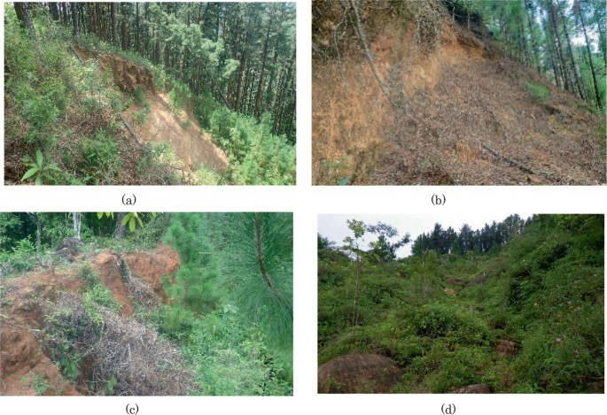 4 photos of the field verification process in recent failures. Photos a to d are of slopes with vegetation around them. The elevation of slopes is different in all cases.