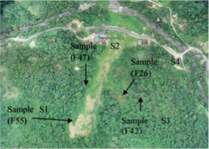A google map of Athwelthota landslide area with sampling locations. Sample F 55 is near S 1, F 42 near S 3, F 26 near S 4, and F 47 near S 2.