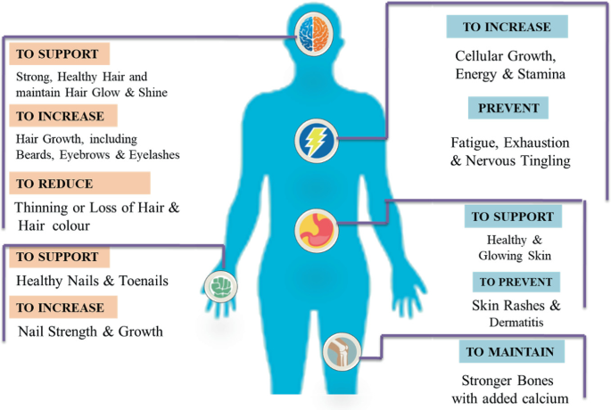biotin benefits () biotin benefits