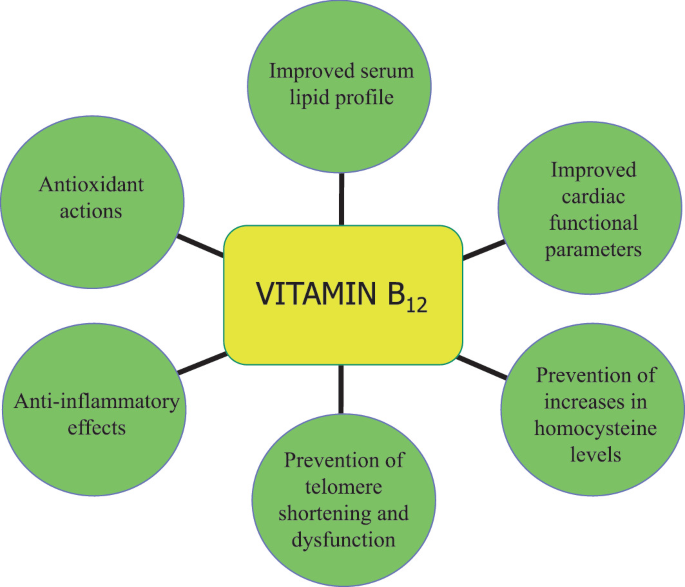 b12 injections and hypertension Role of Vitamin B12 in Cardiovascular Disease
