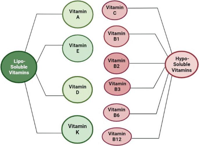 2 diagrams. On the left, liposoluble vitamins are classified into vitamins A, E, D, and K. On the right, hypo soluble vitamins are classified into vitamins C, B 1, B 2, B 3, B 6, and B 12.