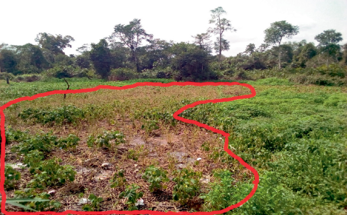 A photograph of the farmland with a dumpsite, in which the polluted area of the land is highlighted.
