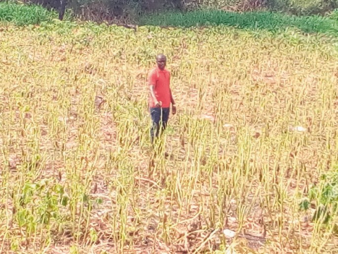 A photograph of a person standing in the farmland, of which the land is affected by the leachate pollution.