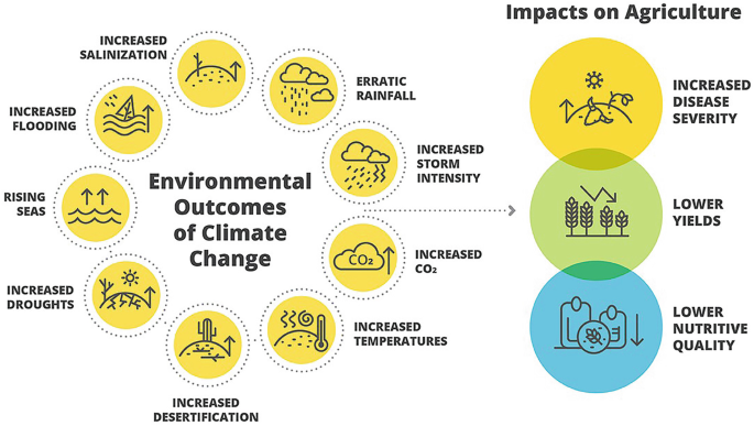 Effects of Climate Change on Plant Diseases | Springer Nature Link