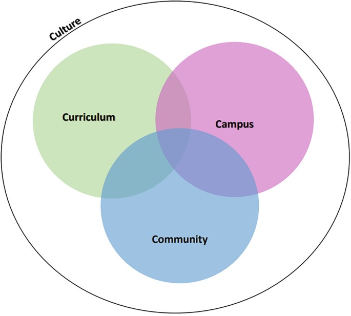 A chart has a circle labeled culture. It contains a Venn diagram in which 3 sets labeled curriculum, campus, and community overlap.