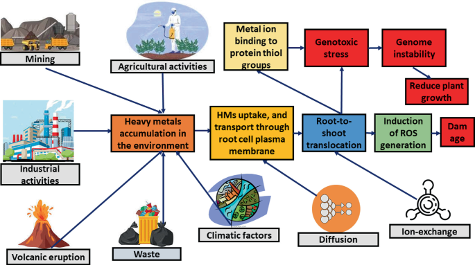 An Overview On The Current State Of Heavy Metal Pollution And Recent an-overview-on-the-current-state-of-heavy-metal-pollution-and-recent