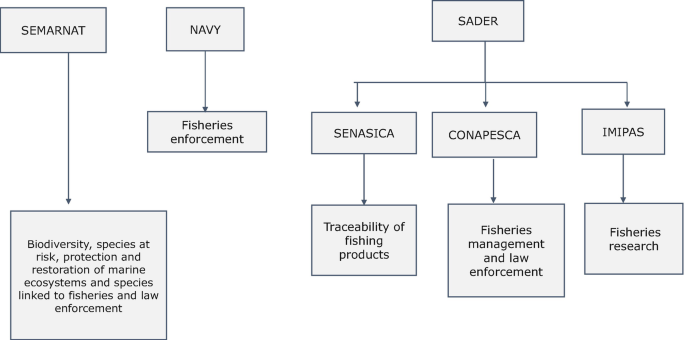 A block diagram presents the institutional arrangements. SEMARNAT governs biodiversity and species at risk. NAVY oversees fisheries enforcement. SENASICA oversees the traceability of fishing products, CONAPESCA governs fisheries management and law enforcement, and IMIPAS for fisheries research.