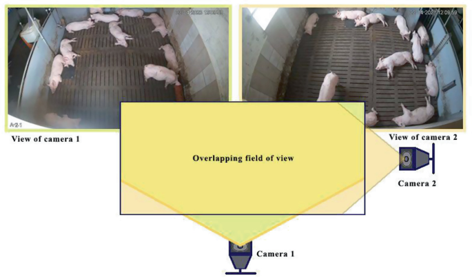 Irregular Frame Rate Synchronization of Multi-camera Videos for
