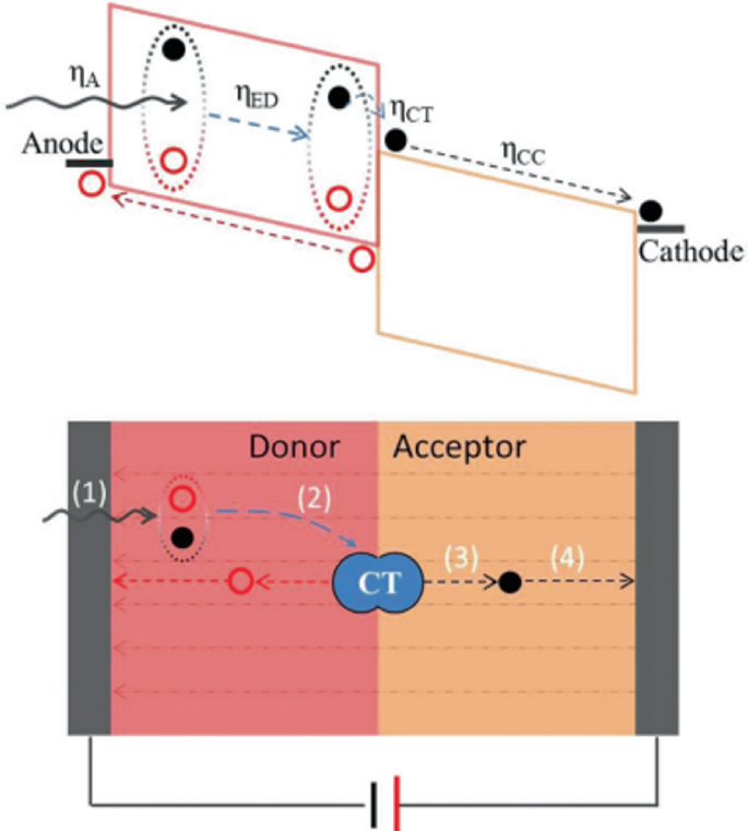 Perovskite Photodetector SpringerLink