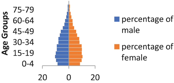 Women and Well-being: A Study on Demographic Welfare and Opulence Among ...