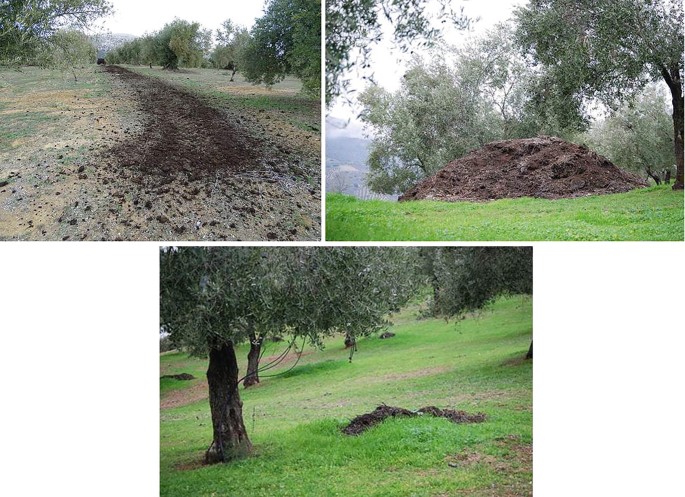 Management Practices Boosting Ecosystem and Landscape Functions and ...