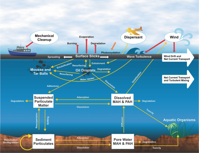 An illustration of the ocean water cycle. It includes mechanical cleanup, surface slicks, dispersants, suspended particulate matter, and dissolved M A H and P A H, wind with wind drift, net current transport, and turbulent mixing.