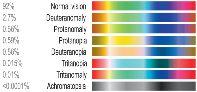 A chart presents the levels of colorblindness. Normal vision 92%, Deuteranomaly 2.7%, protanomaly 0.66%, protanopia 0.59%, tritanopia 0.015%, tritanomaly 0.01%, and Achromatopsia less than 0.0001%. Normal vision can see various gradients of color and becomes a grayscale when moving to Achromatopsia.