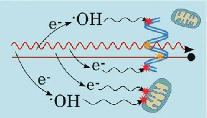 an illustration of radiation damage mechanisms. It has a horizontal line, a sinusoidal curve above the line, and arrows from the sinusoidal curve to ions and hydroxides.