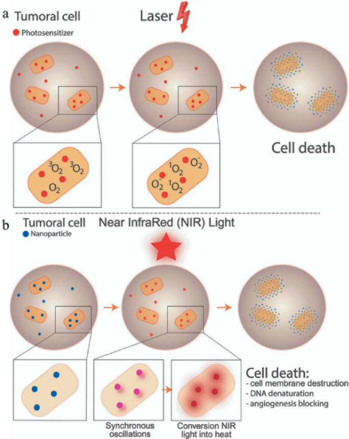 Two illustrations. In a, tumor cells with photosensitizer points to laser, then to cell death. In b, tumor cells with nanoparticles points to near infrared light with synchronous oscillations and conversion N I R light into heat, then to cell death.