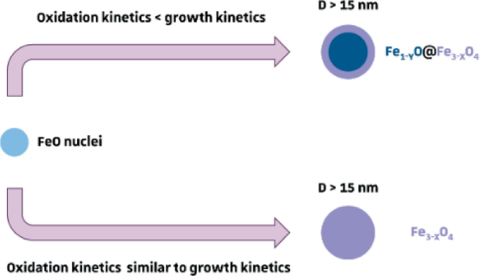 A schematic presents iron oxide points in two ways. 1. It points to a diameter greater than 15 nanometers via oxidation kinetics less than growth kinetics. 2. It points to a diameter greater than 15 nanometers via oxidation kinetics similar to growth kinetics.