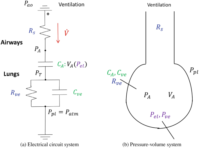 2 schematics of electrical circuit and pressure-volume systems. a, the ventilation is connected through resistor R s, P A airways, capacitor C A, P T lungs, and parallel circuit of R v e and C v e and grounded. b, a pressure-volume system with an opening at the top labeled ventilation.