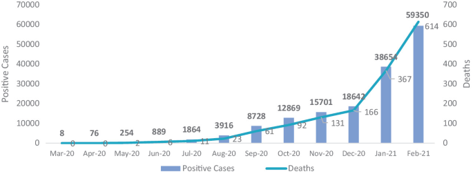 A bar-line graph plots positive cases and deaths versus years. The highest bar for positive cases is 59,350 in February 2021, while the lowest is 8 in March 2020. The line representing deaths exhibits an increasing trend over time.