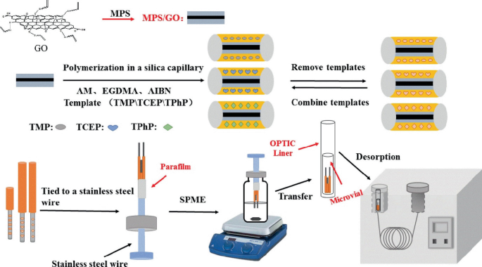 Molecularly Imprinted Polymers as Highly Selective Sorbents in Sample ...