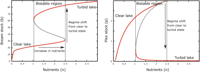 2 line graphs depict bream stock and pike stock versus nutrients. The vertical lines splits the graphs into clear lake, bistable regions, and turbid lakes. The upward and downward arrow indicates regime shift from clear to turbid state. The rightward arrow represents an increase in nutrients. The values are fluctuating.