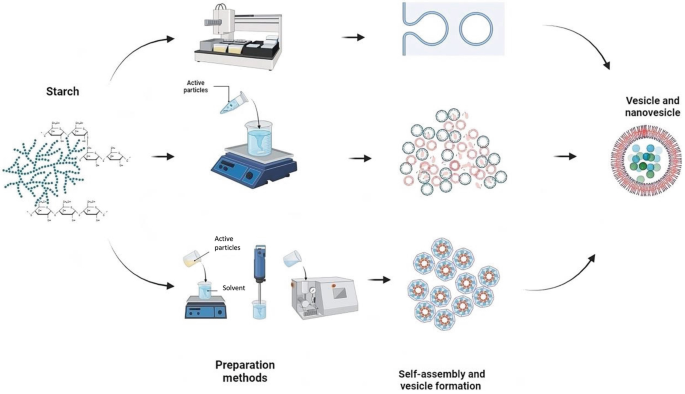 Starch Nanovesicles and Nanomicelles | Springer Nature Link