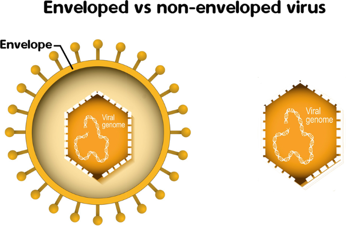 How Plastic Pollution Can Spread Viruses | SpringerLink