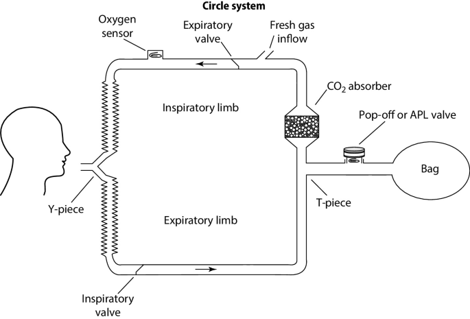 Breathing Systems | Springer Nature Link