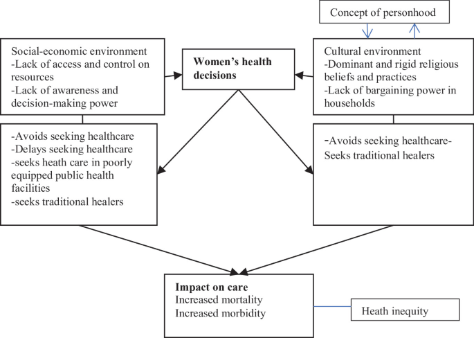 Hwhe Addressing Health Equity Challenges in Women's Care: Insights from ...