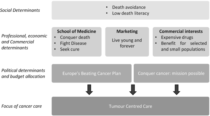 An architecture for the commercial determinants of health has the social determinants as death avoidance and low death literacy. The professional, economic, and commercial determinants are the school of medicine, marketing, and commercial interests. Political determinants are cancer plan and conquer cancer.